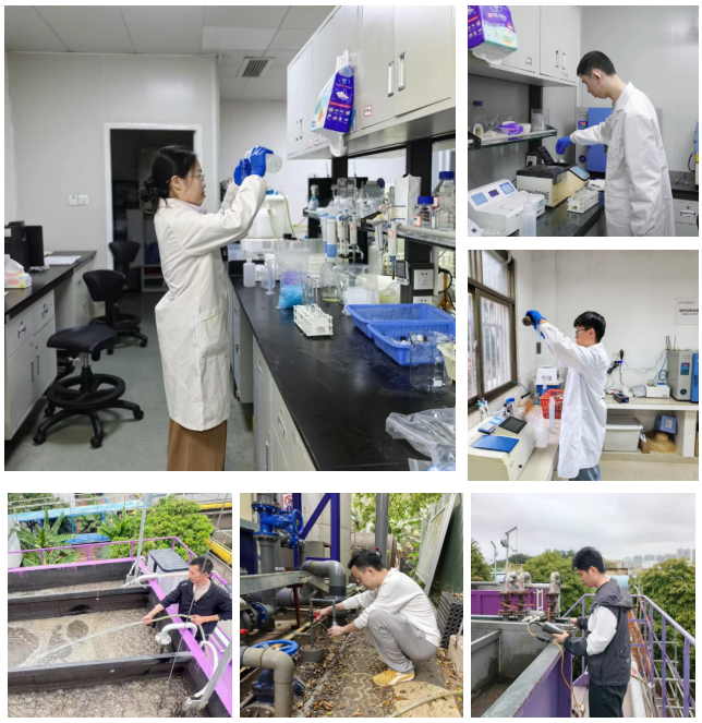 888�ڲ���-����Ϊ��,רҵ����