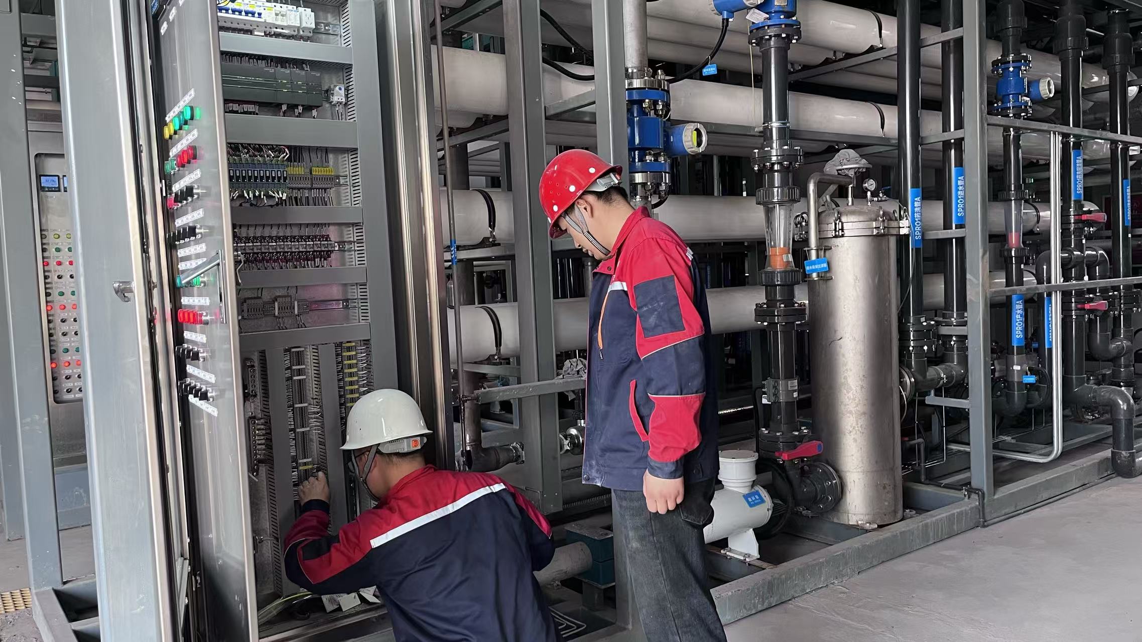 888�ڲ���-����Ϊ��,רҵ����