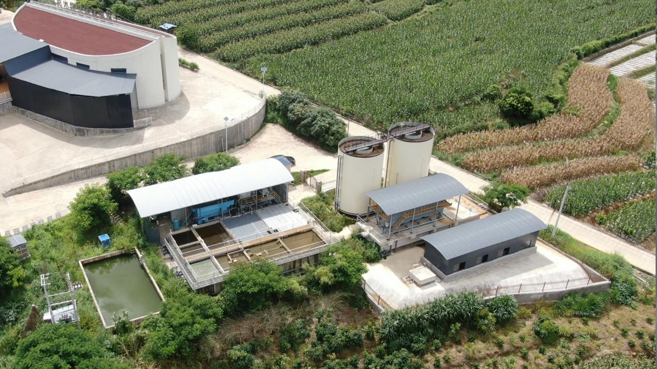 888�ڲ���-����Ϊ��,רҵ����