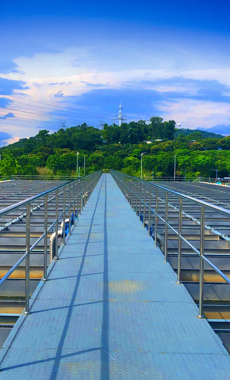 888�ڲ���-����Ϊ��,רҵ����