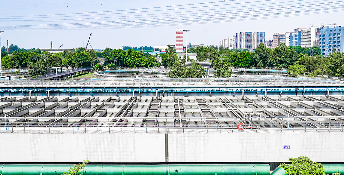 888�ڲ���-����Ϊ��,רҵЧ��