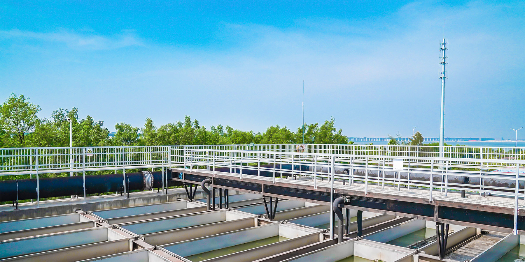 888�ڲ���-����Ϊ��,רҵ����