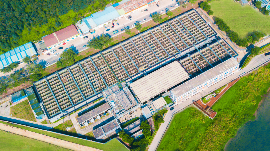 888�ڲ���-����Ϊ��,רҵЧ��