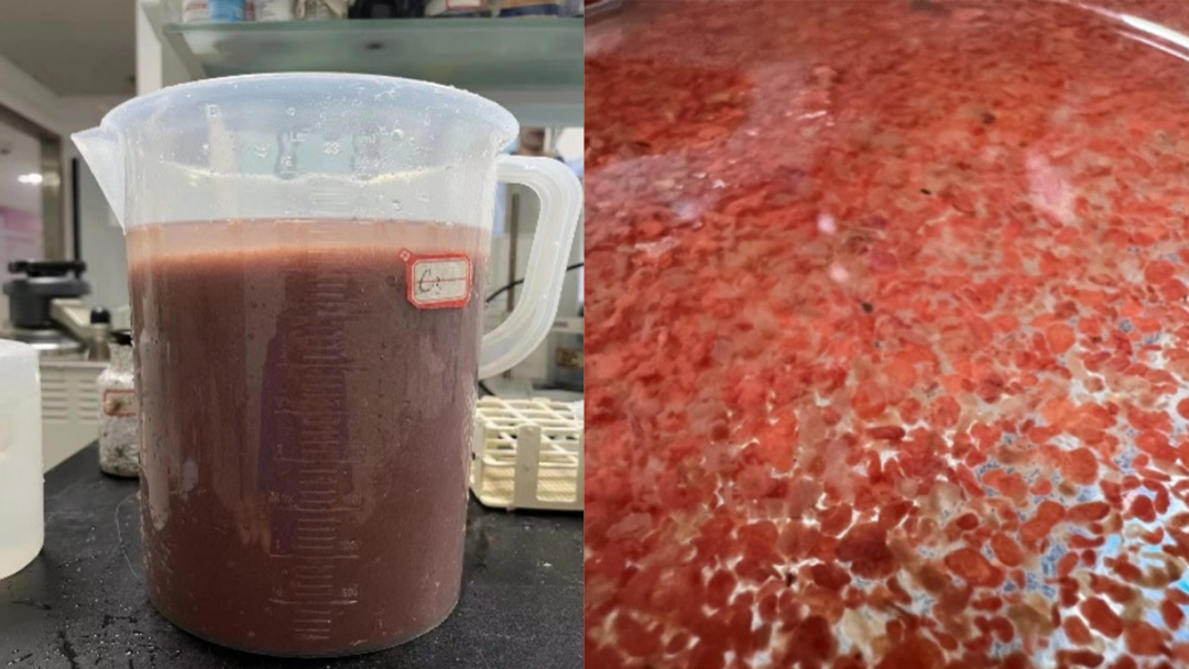 888�ڲ���-����Ϊ��,רҵЧ��