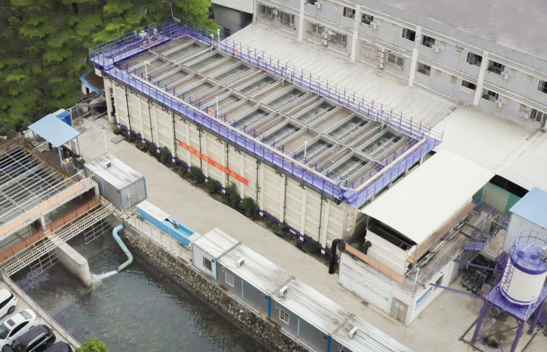 888�ڲ���-����Ϊ��,רҵЧ��