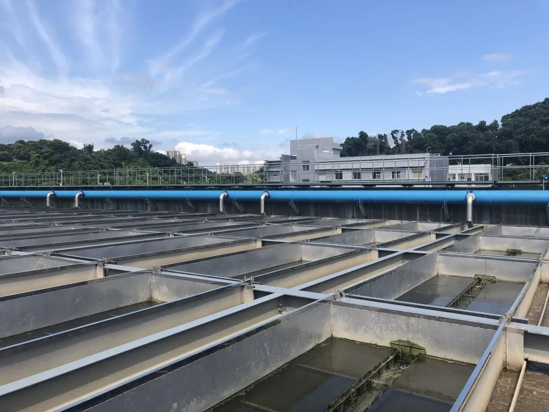 888�ڲ���-����Ϊ��,רҵЧ��