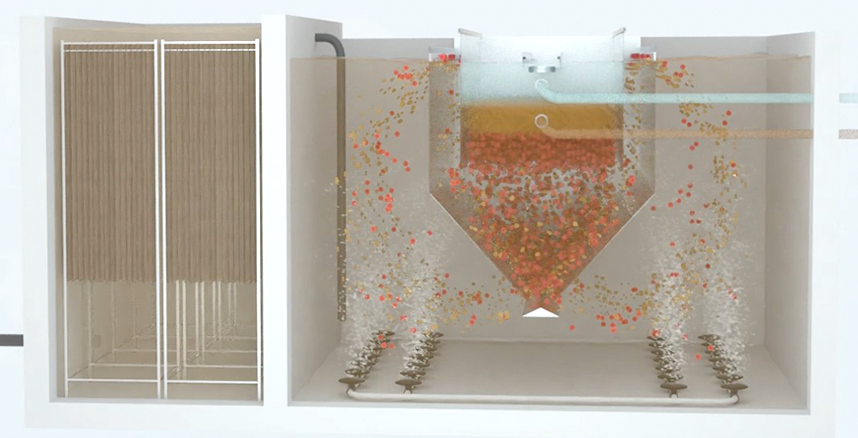 888�ڲ���-����Ϊ��,רҵЧ��