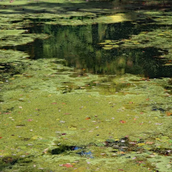 888�ڲ���-����Ϊ��,רҵЧ��