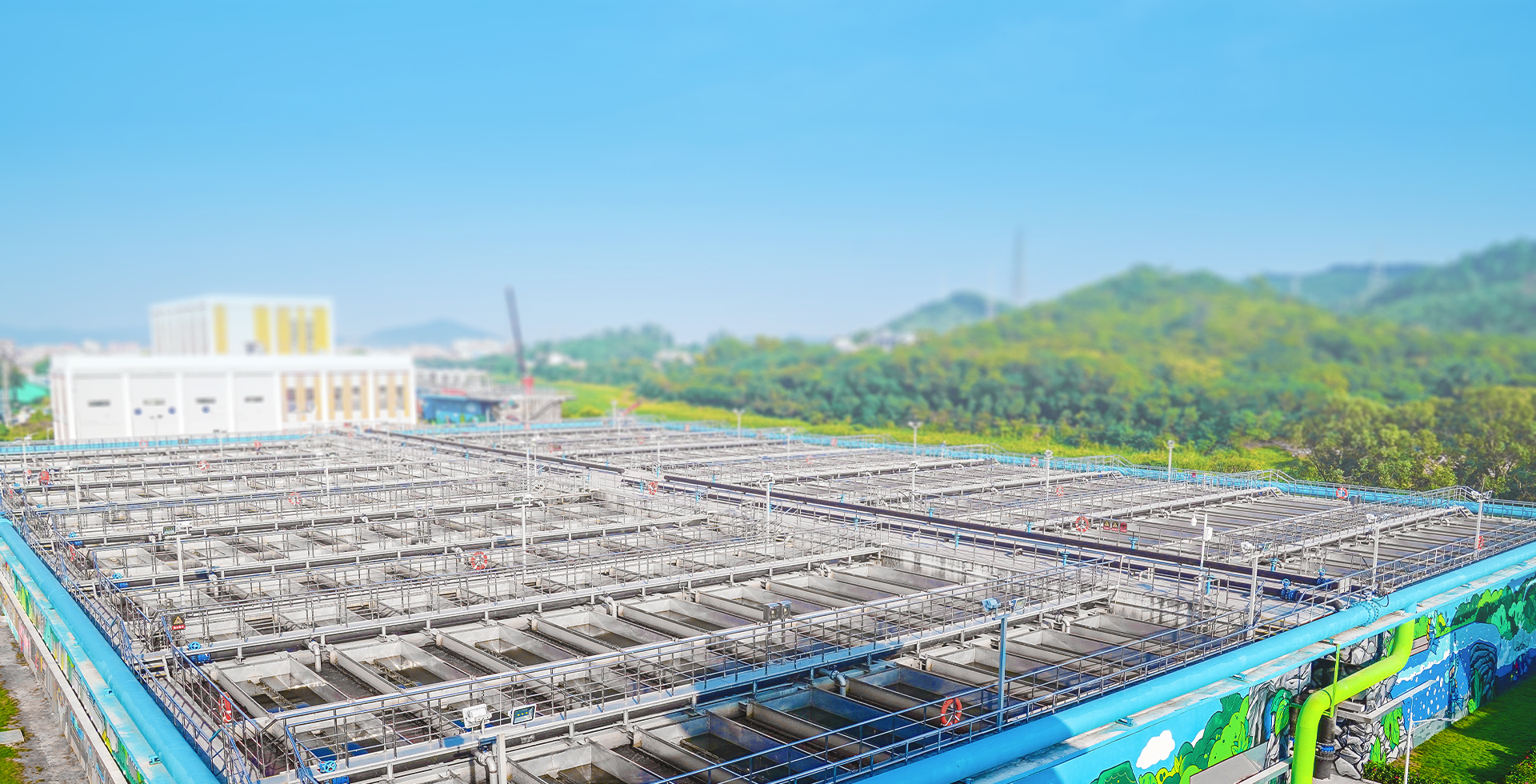 888�ڲ���-����Ϊ��,רҵ����