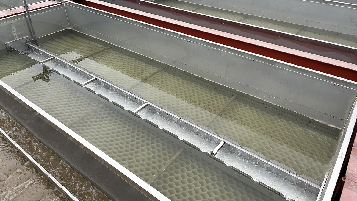 888�ڲ���-����Ϊ��,רҵЧ��