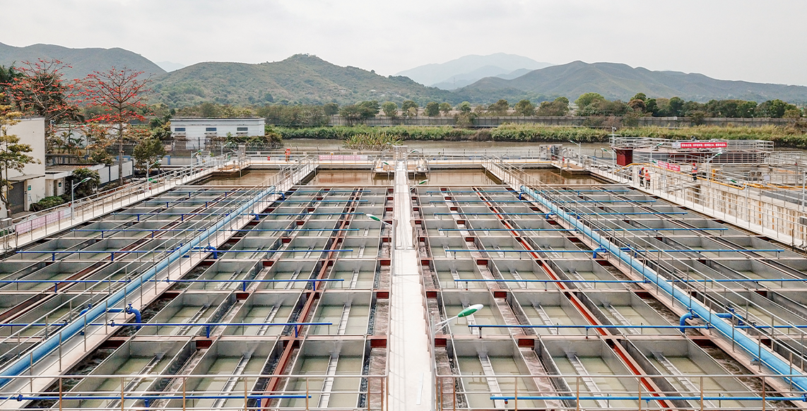 888�ڲ���-����Ϊ��,רҵЧ��