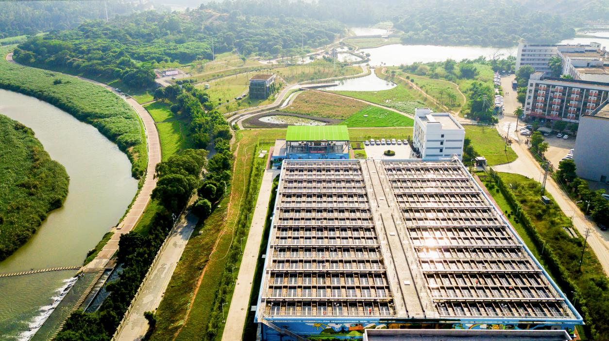 888�ڲ���-����Ϊ��,רҵЧ��