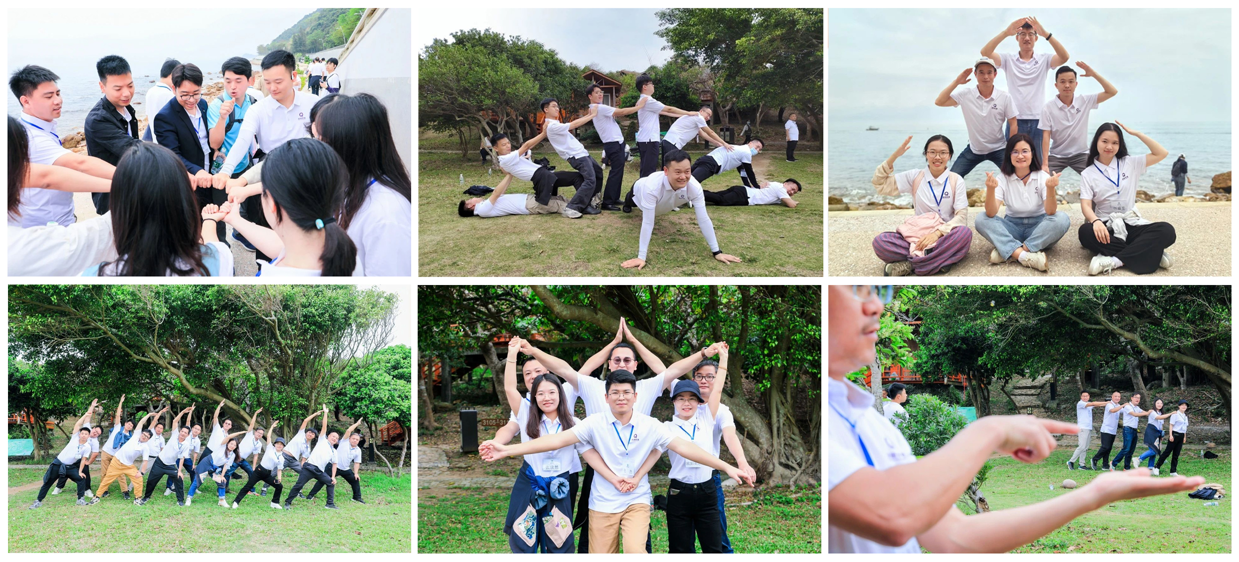 888�ڲ���-����Ϊ��,רҵЧ��