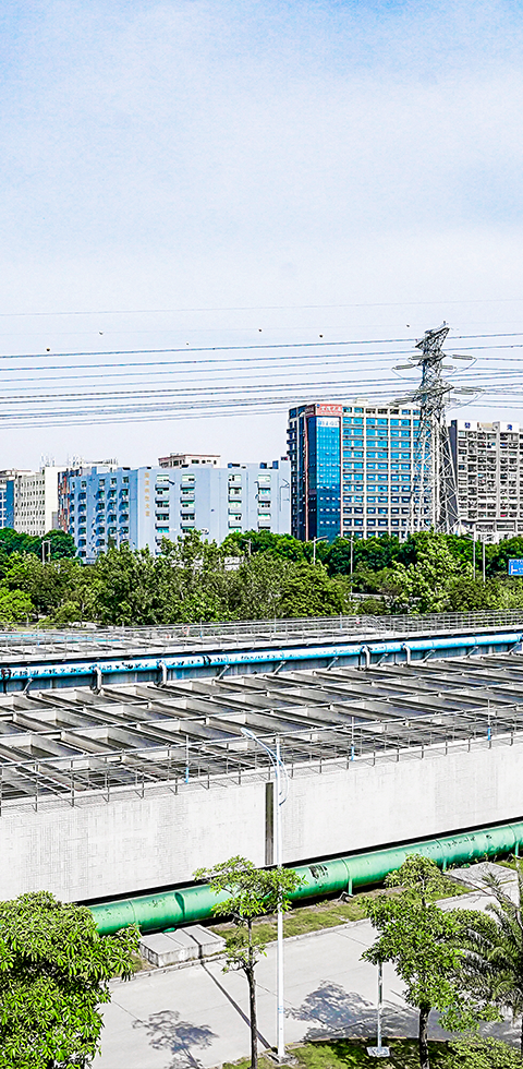 888�ڲ���-����Ϊ��,רҵ����