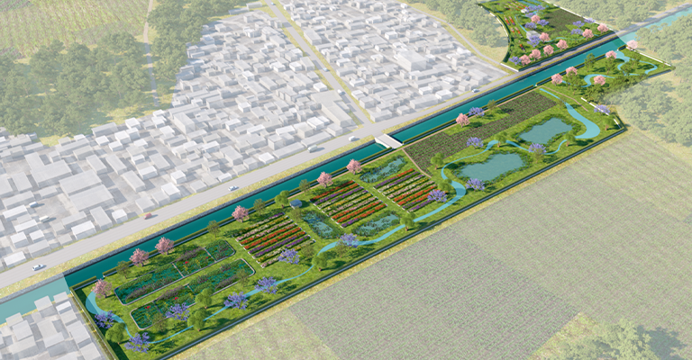 888�ڲ���-����Ϊ��,רҵЧ��