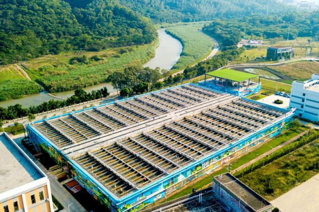 888�ڲ���-����Ϊ��,רҵЧ��