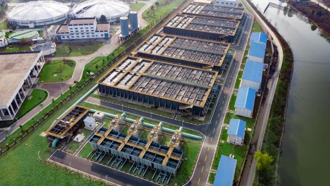 888�ڲ���-����Ϊ��,רҵЧ��