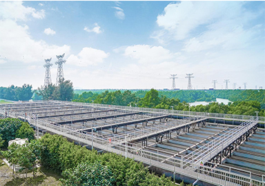 888�ڲ���-����Ϊ��,רҵЧ��