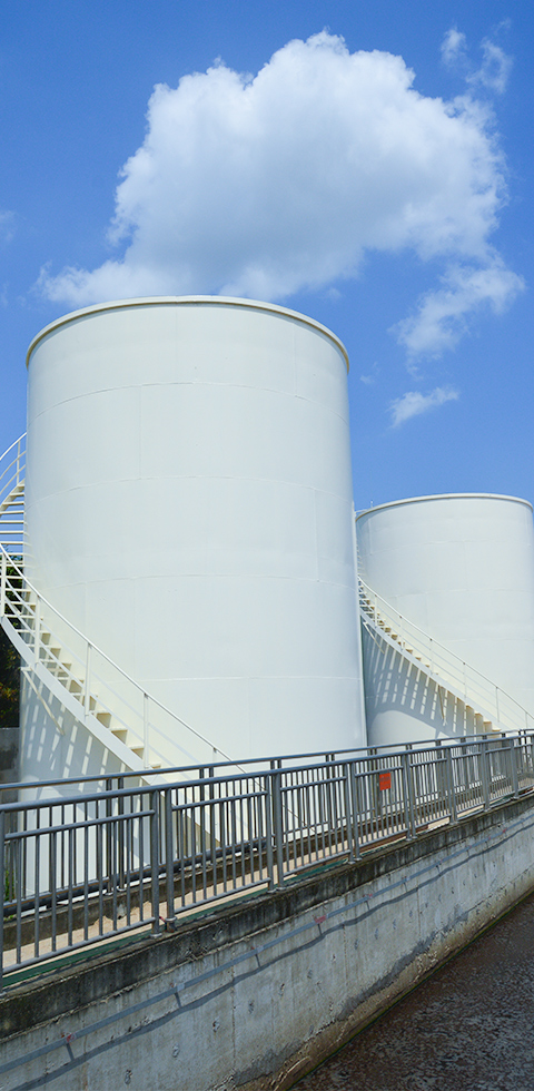 888�ڲ���-����Ϊ��,רҵ����