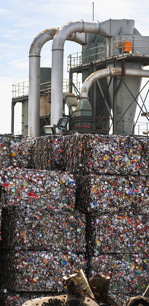 888�ڲ���-����Ϊ��,רҵ����