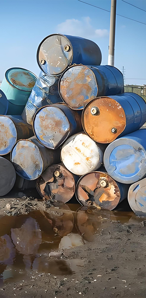 888�ڲ���-����Ϊ��,רҵ����