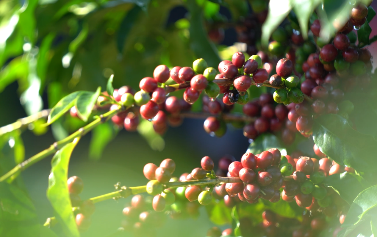 888ÌÚ²©»á-³ÏÐÅΪ±¾,רҵЧÀÍ