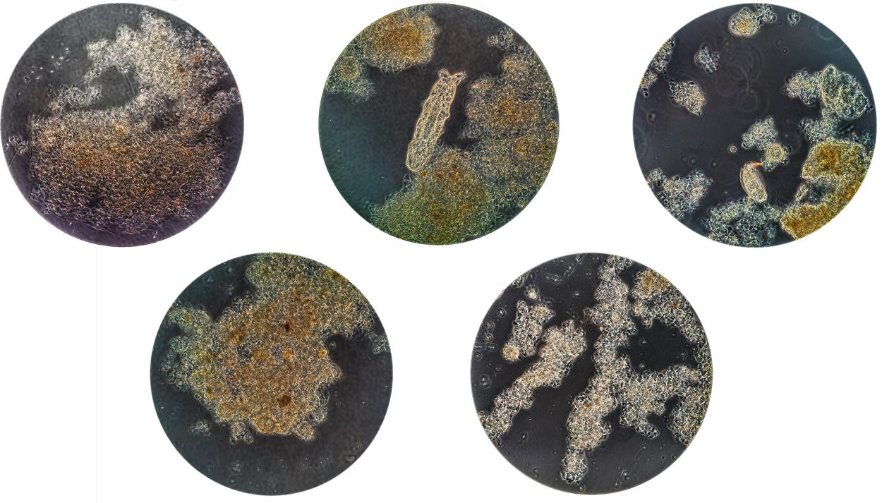 888腾博会-诚信为本,专业效劳