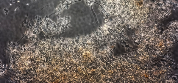 888腾博会-诚信为本,专业效劳