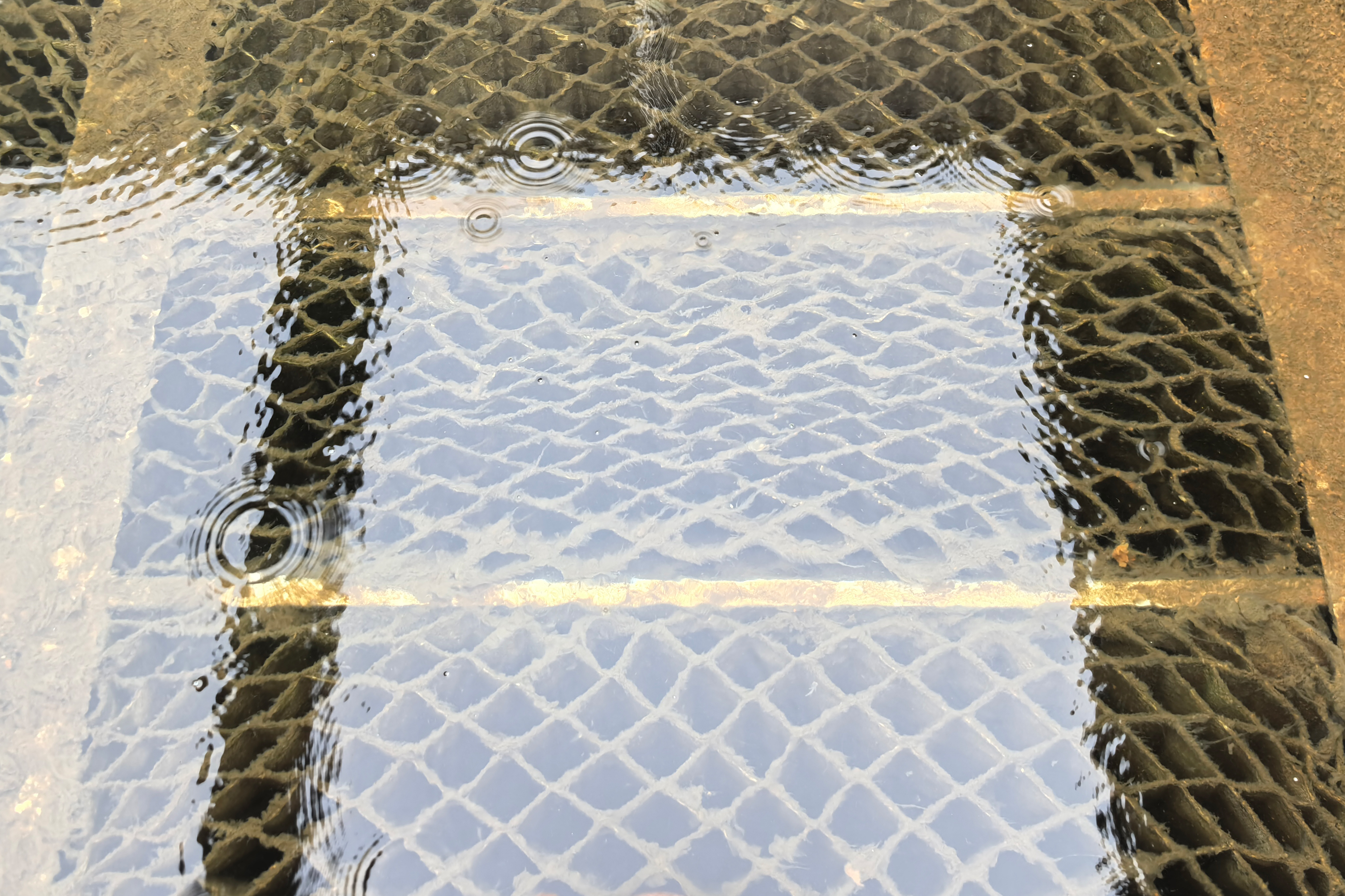 888腾博会-诚信为本,专业效劳